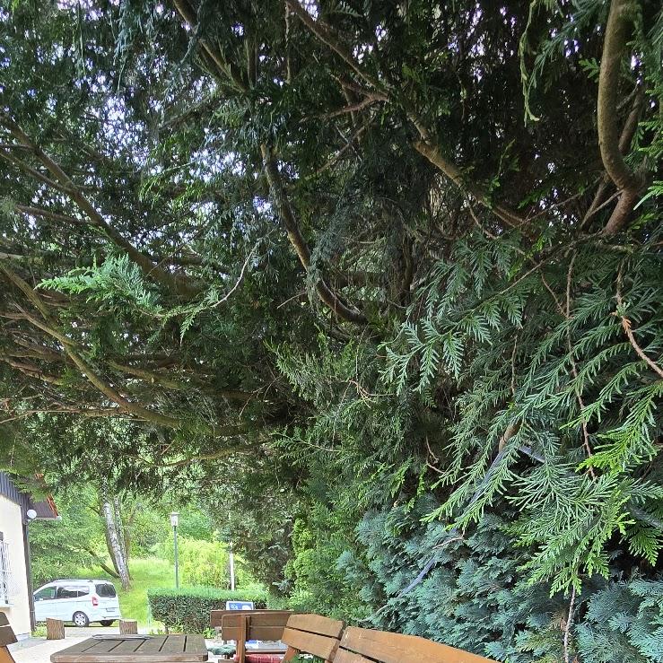 Restaurant "Waldgasthaus  Sankt Marien " in Friedrichroda