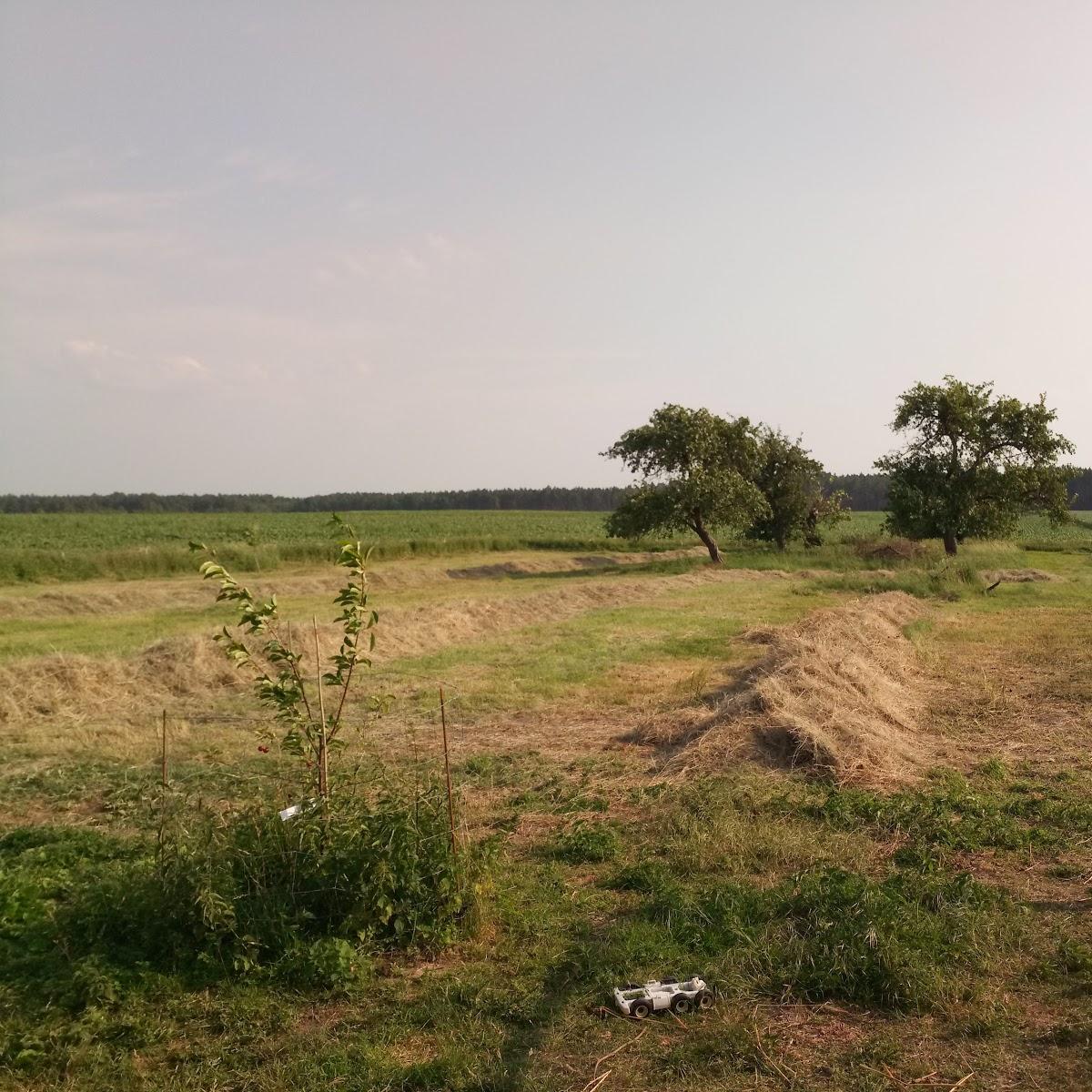 Restaurant "El Presidente