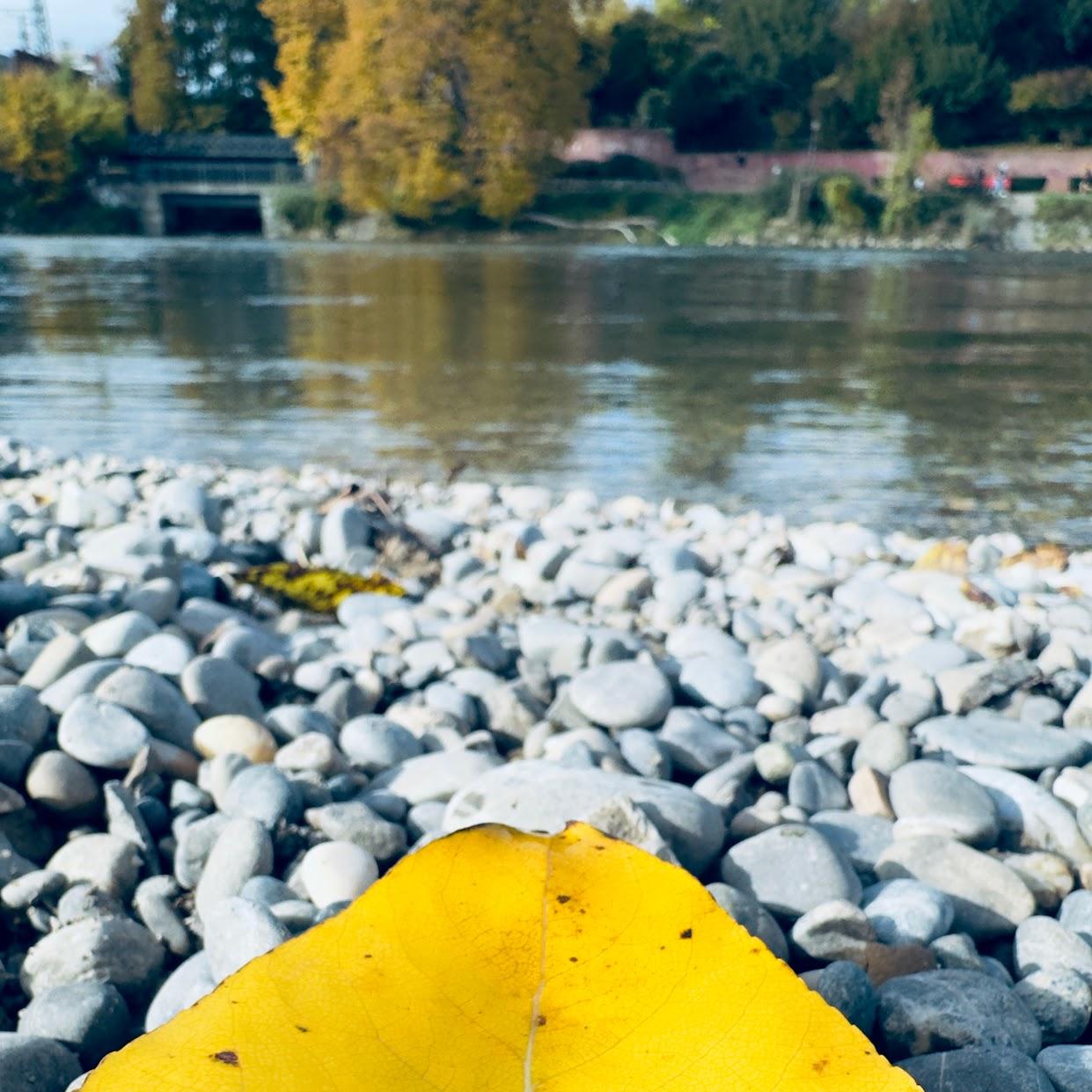 Restaurant "Jahnufer 50" in Neu-Ulm