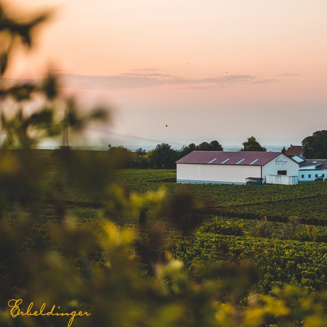 Restaurant "Weingut Familie Erbeldinger" in  Bechtheim