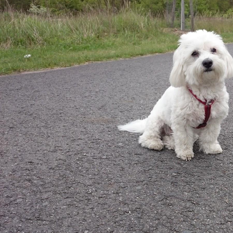 Restaurant "Food truck" in Zossen