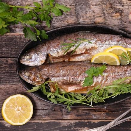 Restaurant "FISH HOUSE and more Fisch Haus" in Uelzen