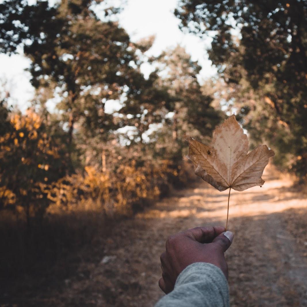 Restaurant "FFC Infrastructure GmbH" in Bad Sulza