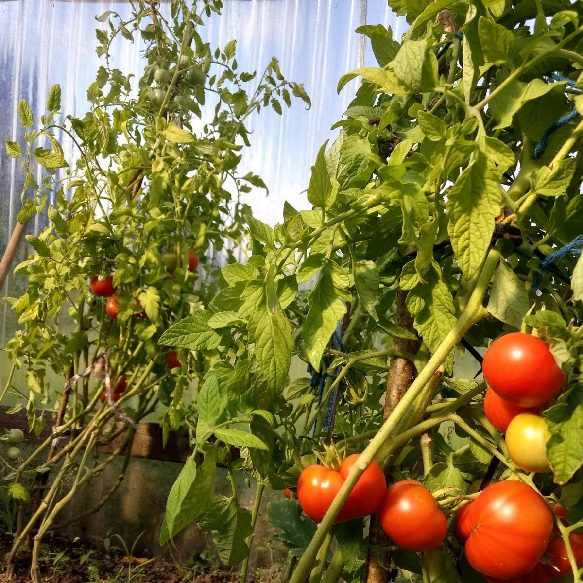 Restaurant "Zum Park" in Saarlouis