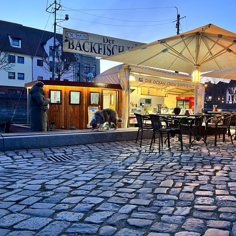 Restaurant "Fischkutter Ocean II- Der Backfischkönig" in Stralsund