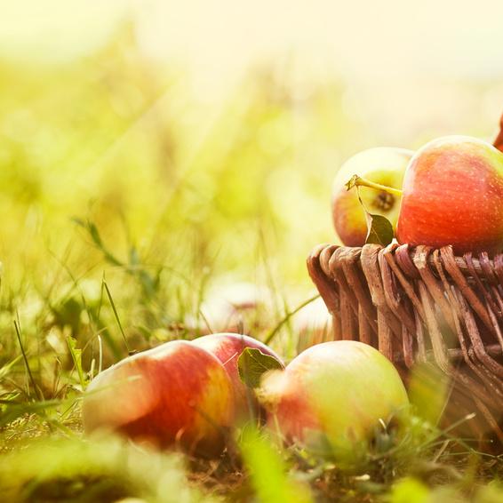 Restaurant "Hasenladen" in Neufraunhofen