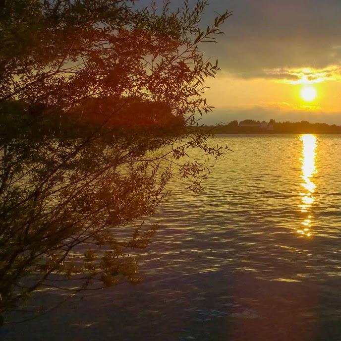 Restaurant "CHIEMSEEFISCHE" in Chiemsee