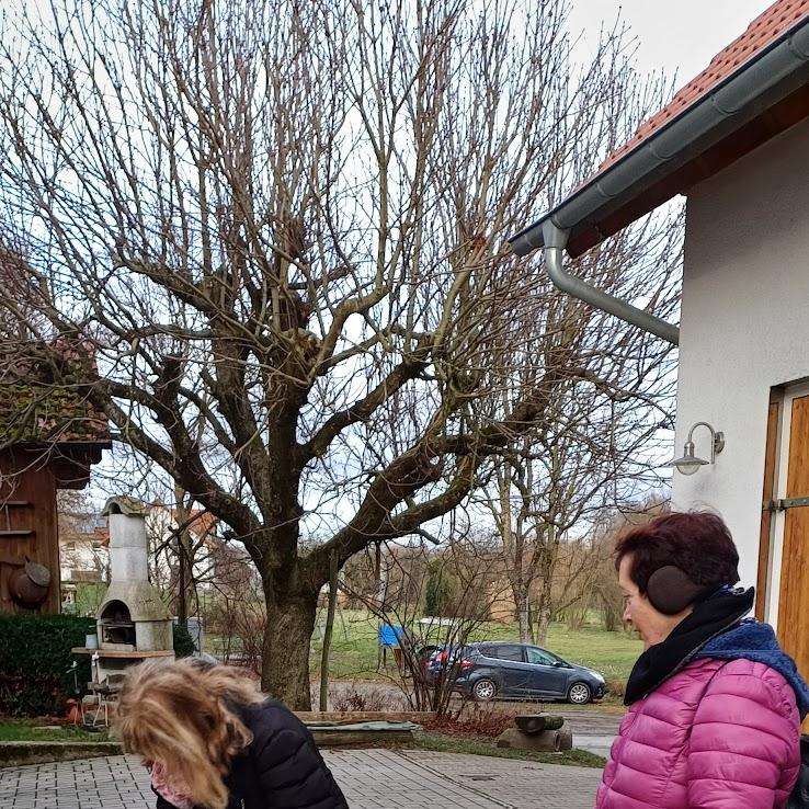 Restaurant "Klaus Meißner" in Pfedelbach