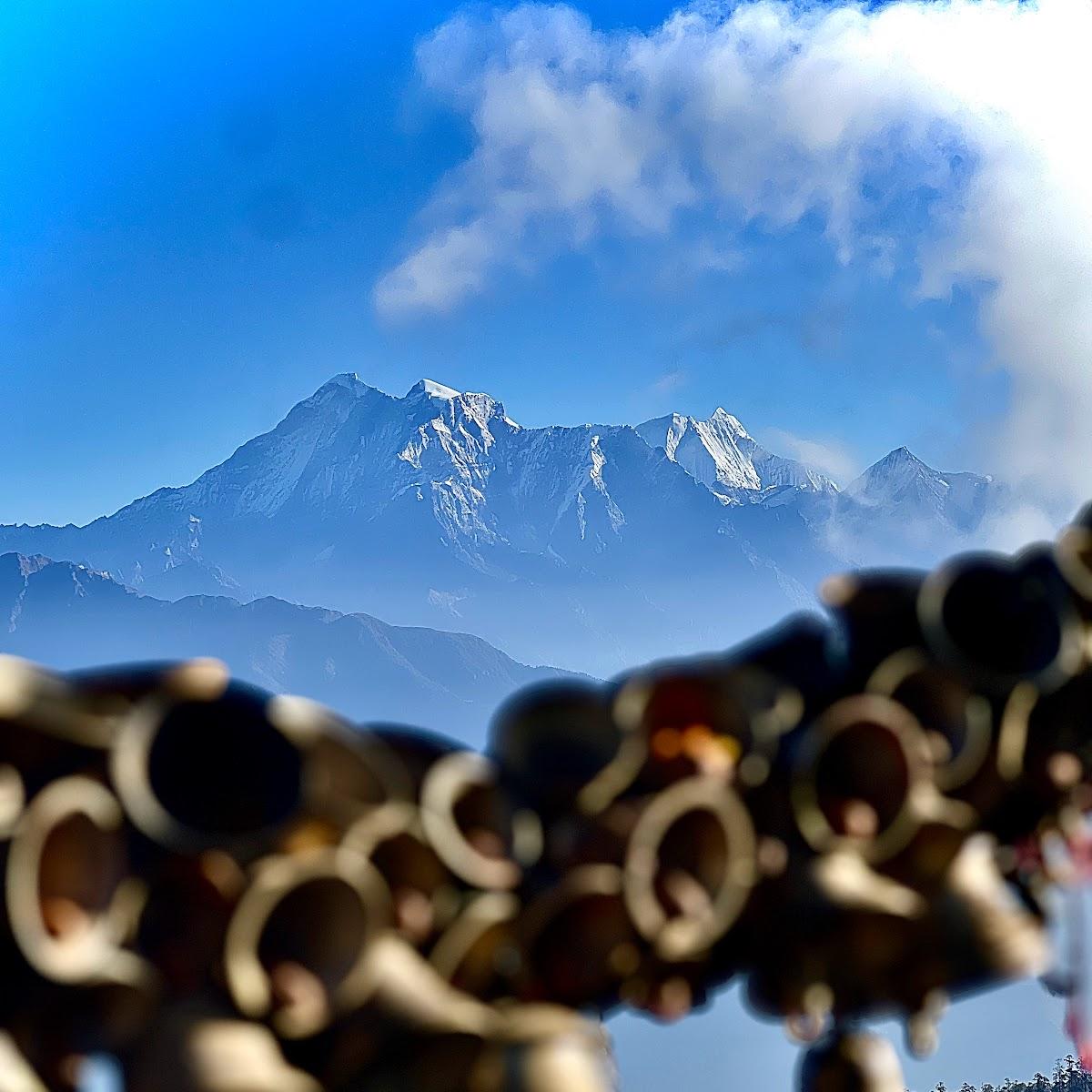 Restaurant "Trikon Indische Restaurant and Bar" in Berlin