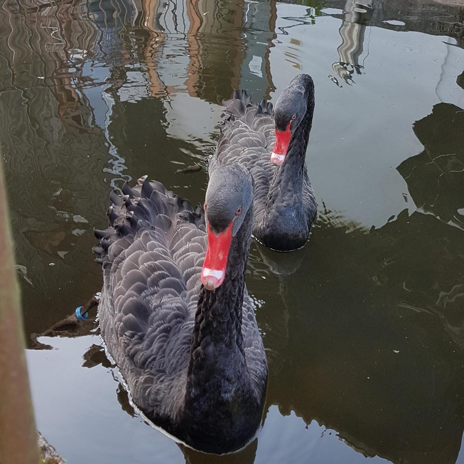 Restaurant "Fantasya Tann Döner & Pizza" in  (Rhön)