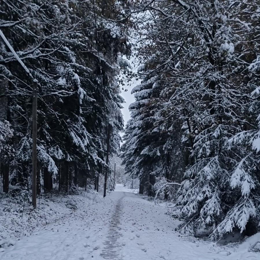 Restaurant "Reichenbach" in Reichenbach im Vogtland
