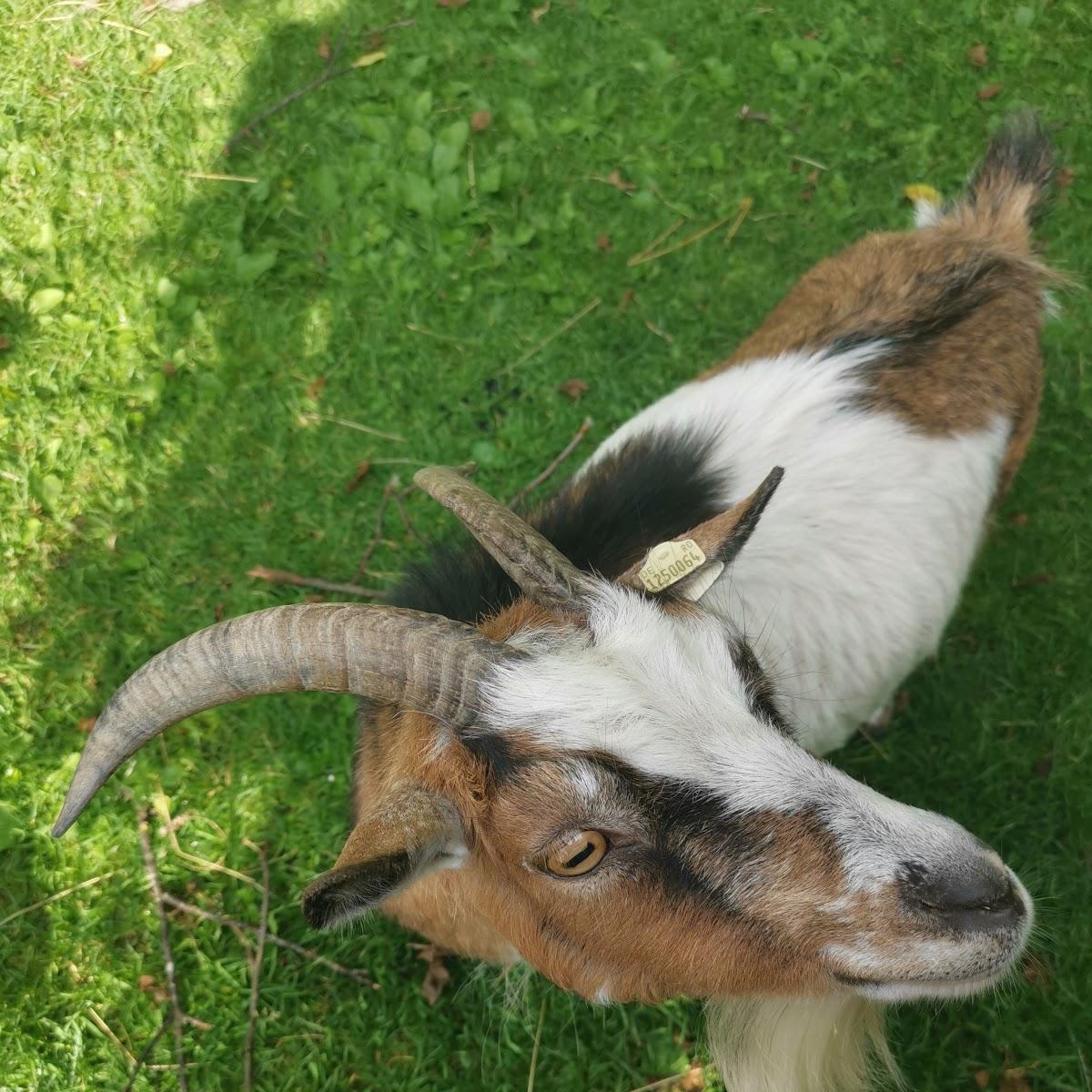 Restaurant "Bandlerhof - Marianne Schönhuber" in Eggstätt