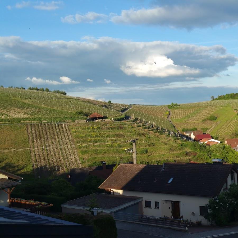 Restaurant "Weinhotel Benz - Das Weinhotel mit Charme" in Lauda-Königshofen