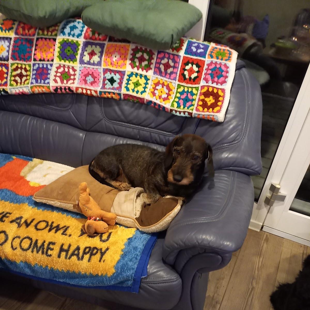 Restaurant "McCafé" in Wittstock-Dosse