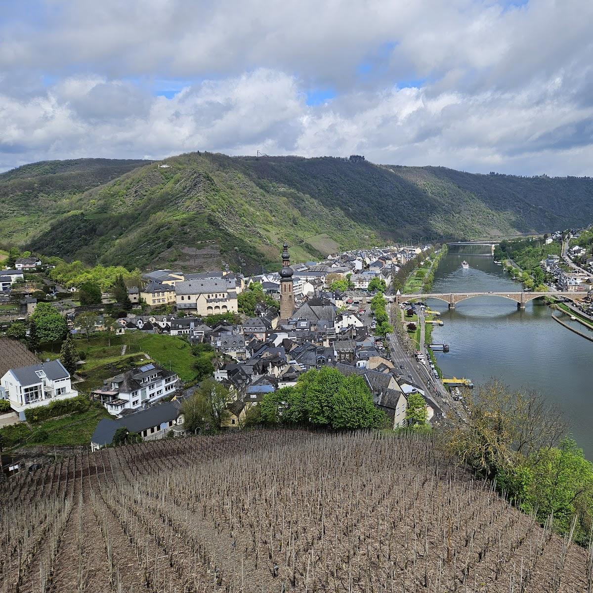 Restaurant "Ferienweingut Klaus Thiesen" in Ellenz-Poltersdorf