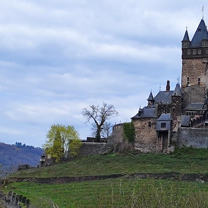 Restaurant "Hotel-Restaurant Weinhaus Traube" in Ernst