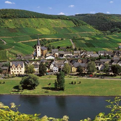 Restaurant "MoselsternHotel  Zum guten Onkel " in Bruttig-Fankel