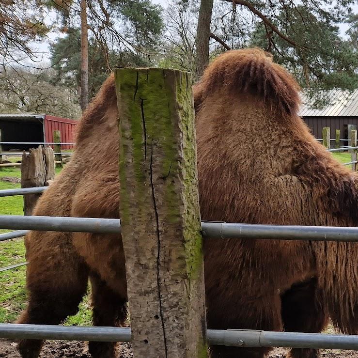 Restaurant "Tierpark-Bistro" in Brüggen