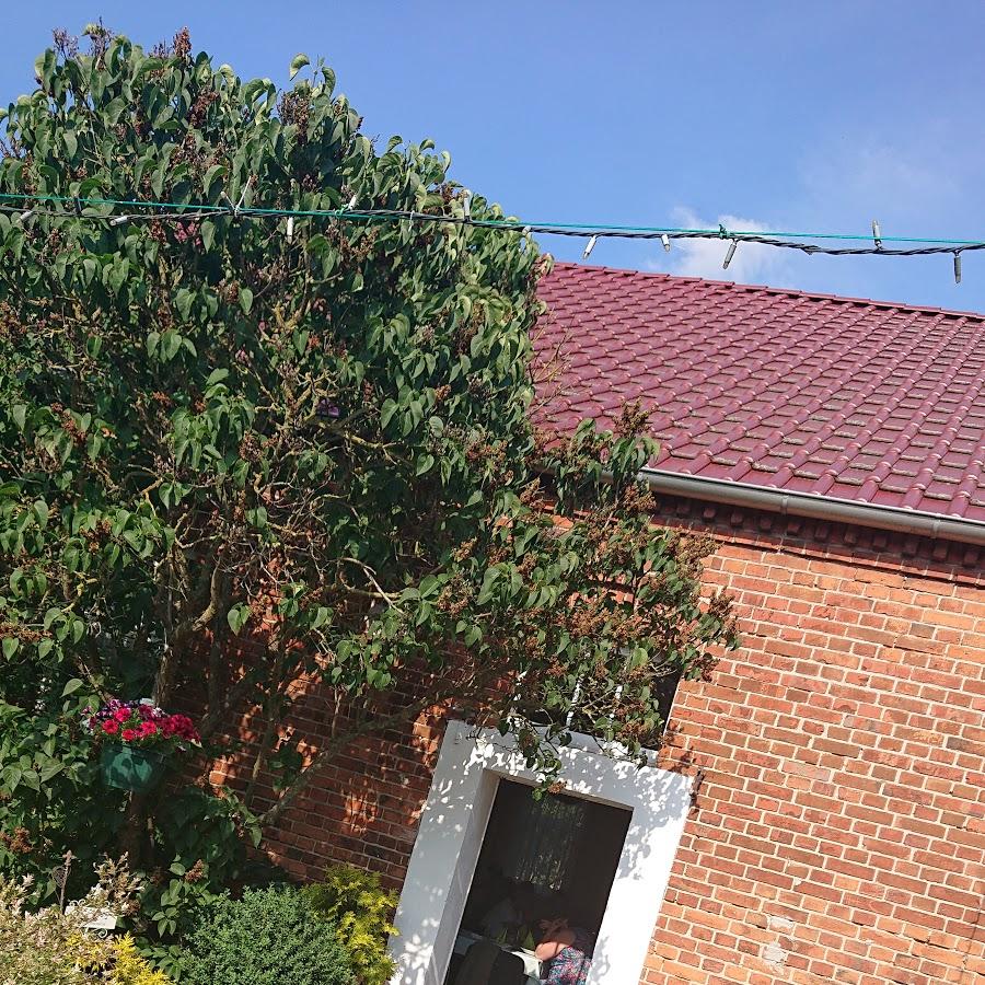 Restaurant "Gaststätte   Drömlingsklause " in  Calvörde