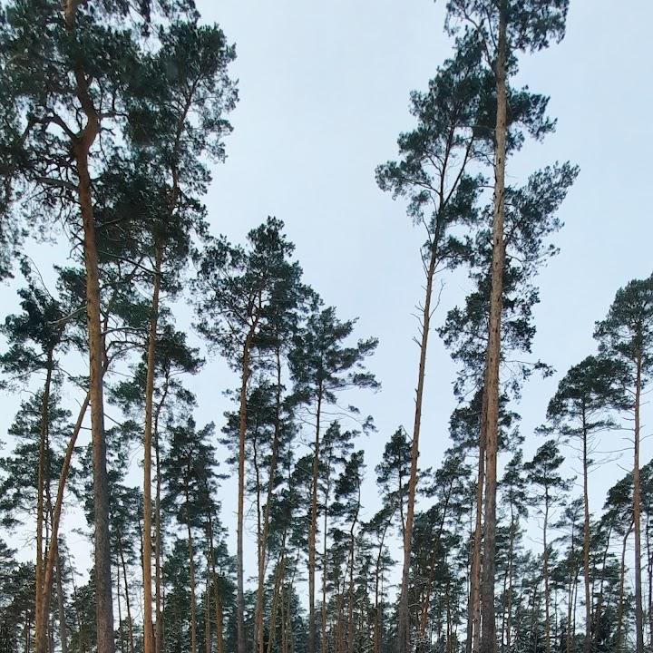 Restaurant "wird ausgesprochen zi e sar" in Ziesar