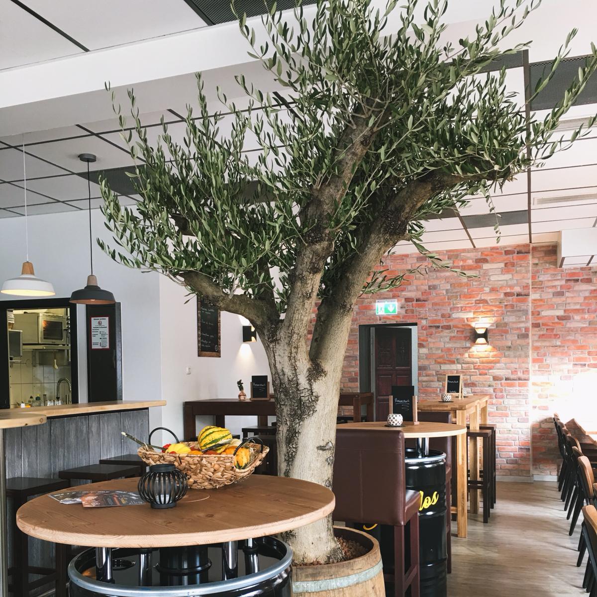 Restaurant "Pizzeria Milano" in  Hamm