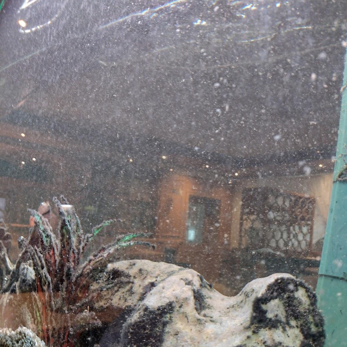 Restaurant "Restaurant Sonne" in Weingarten