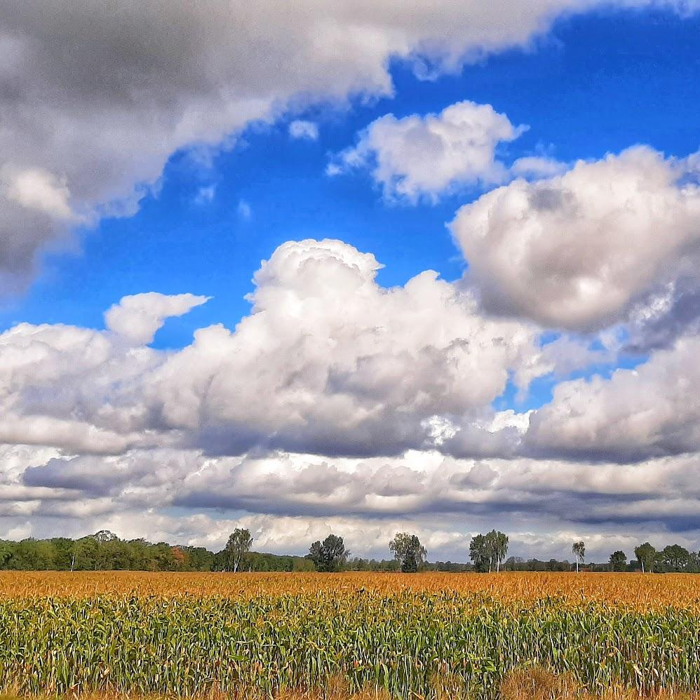 Restaurant "Christian Laue" in  Haßbergen