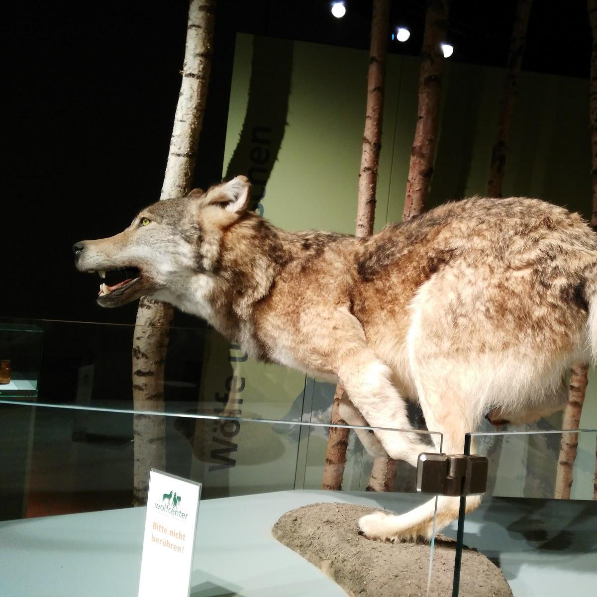 Restaurant "Restaurant Wolfsrevier" in  Dörverden