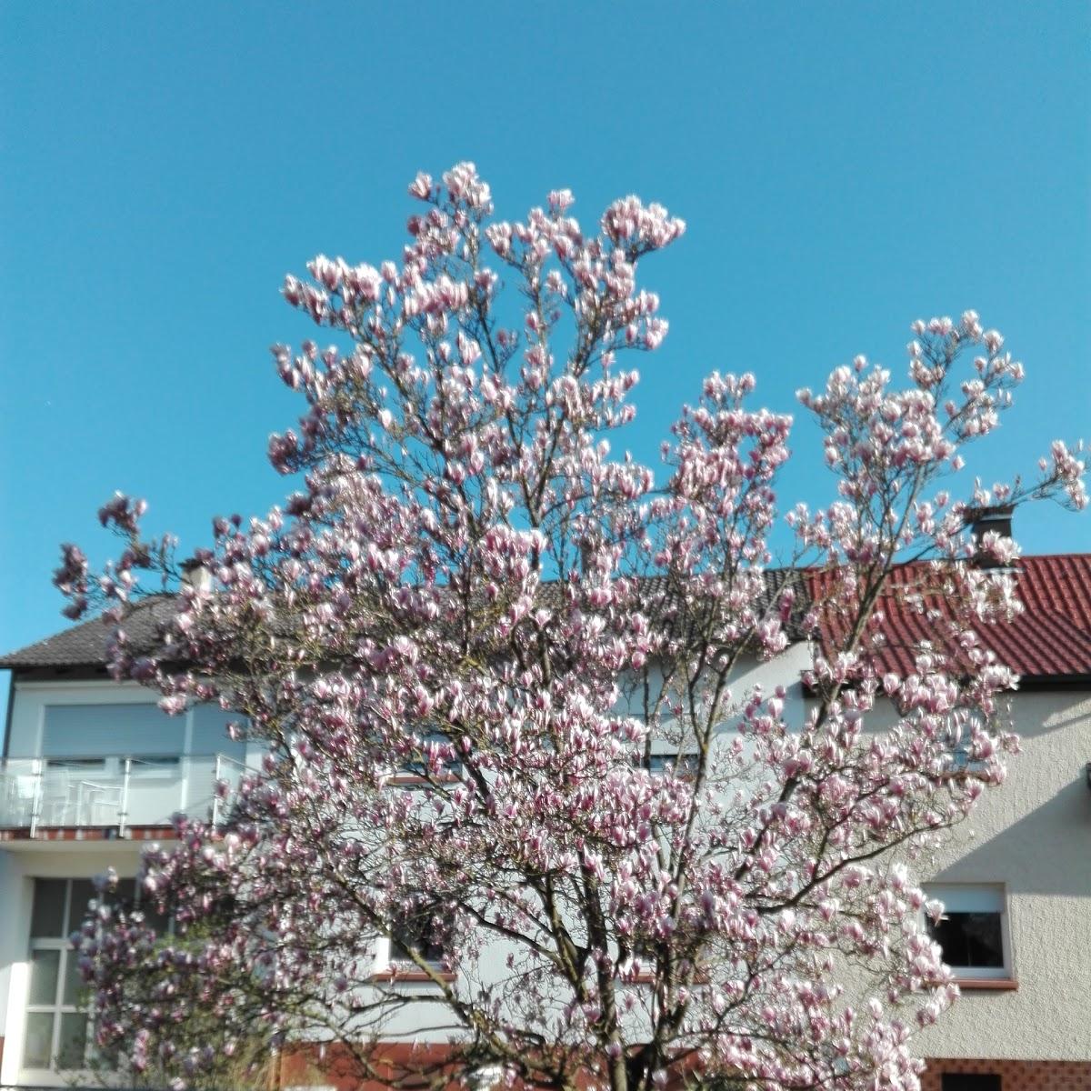 Restaurant "Waldschänke" in Stutensee