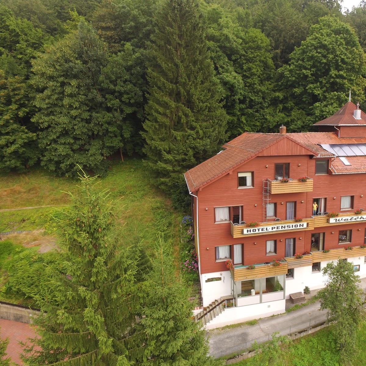 Restaurant "Hotel Pension Waldhaus Bad Grund" in Bad Grund (Harz)