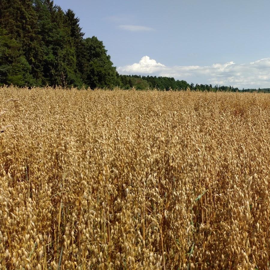 Restaurant "Sportheim des Sportclub  1928 e.V." in Wellendingen