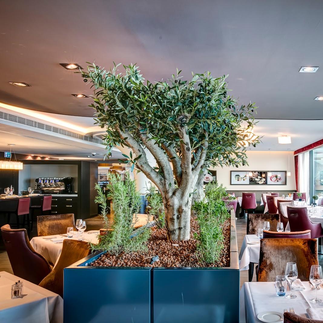 Restaurant "IL VERO" in Genève