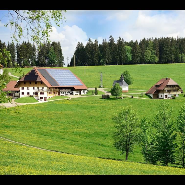 Restaurant "Holzhof - Anita & Roland Hensler" in Breitnau