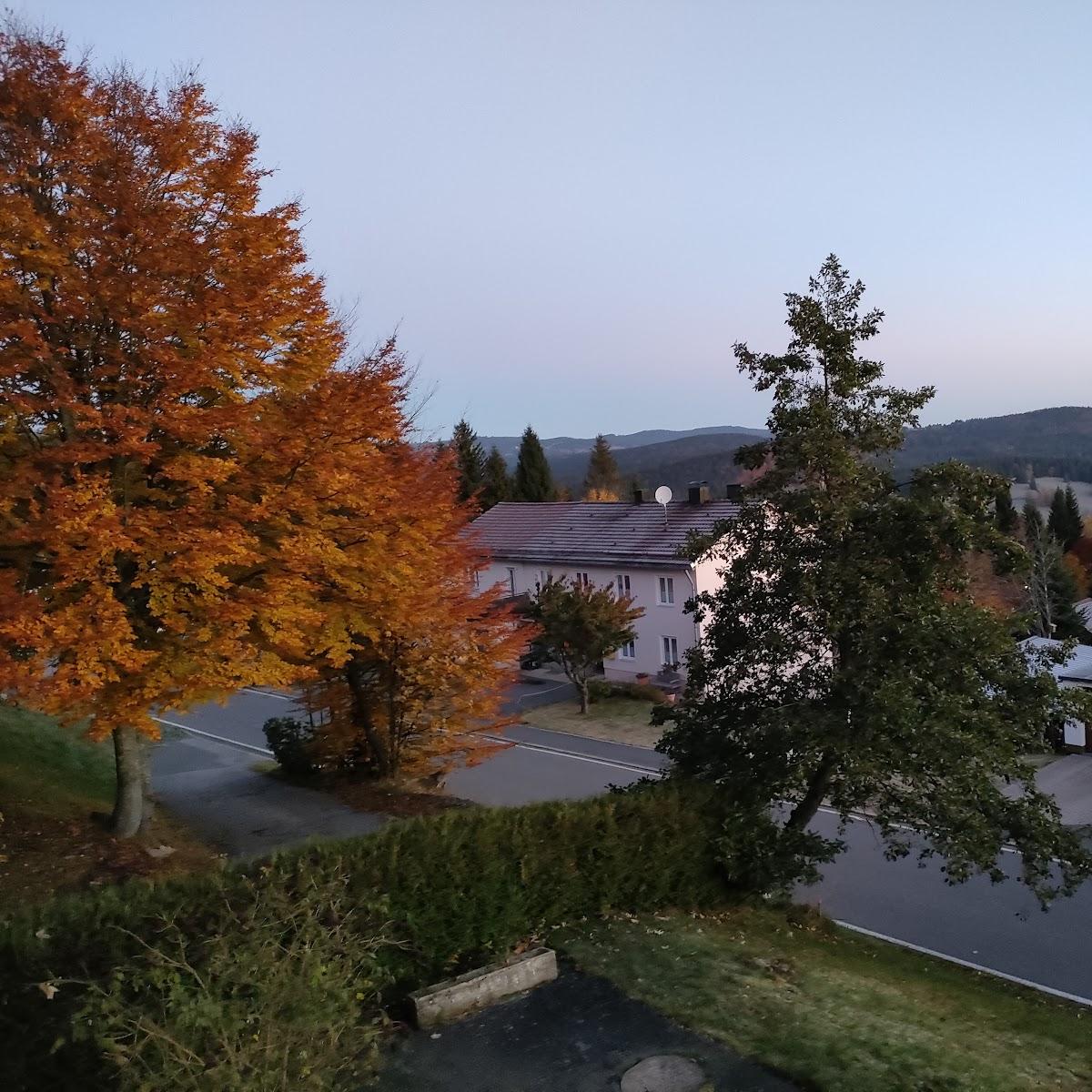 Restaurant "Hotel Almberg" in Philippsreut