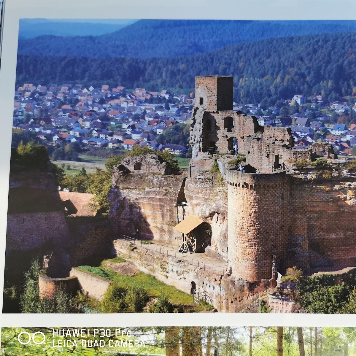 Restaurant "Hôtel Restaurant Auberge aux Sept Chênes" in Wœrth