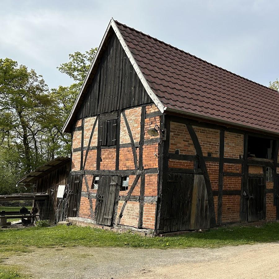 Restaurant "Pension am Elbdeich" in Lenzerwische