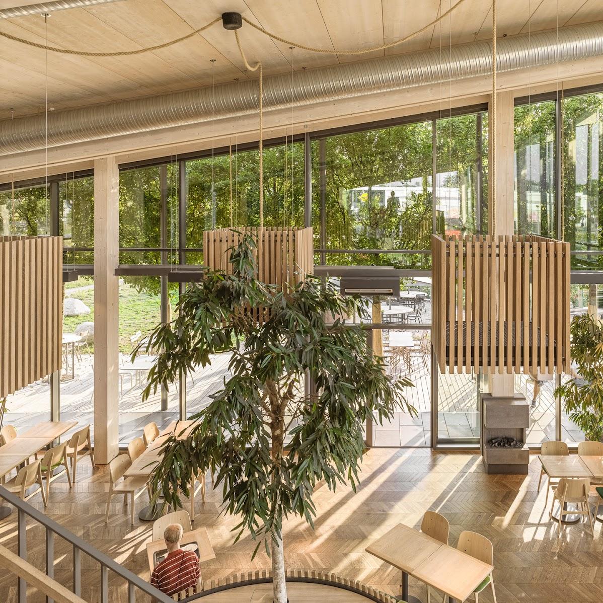 Restaurant "Backstube Hermann Härdtner" in Offenau