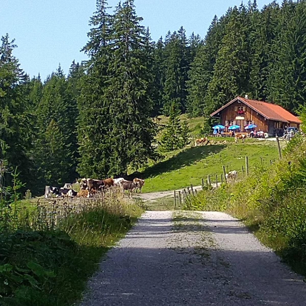 Restaurant "Bergwaldhaus Dreiangelhütte" in  Sonthofen