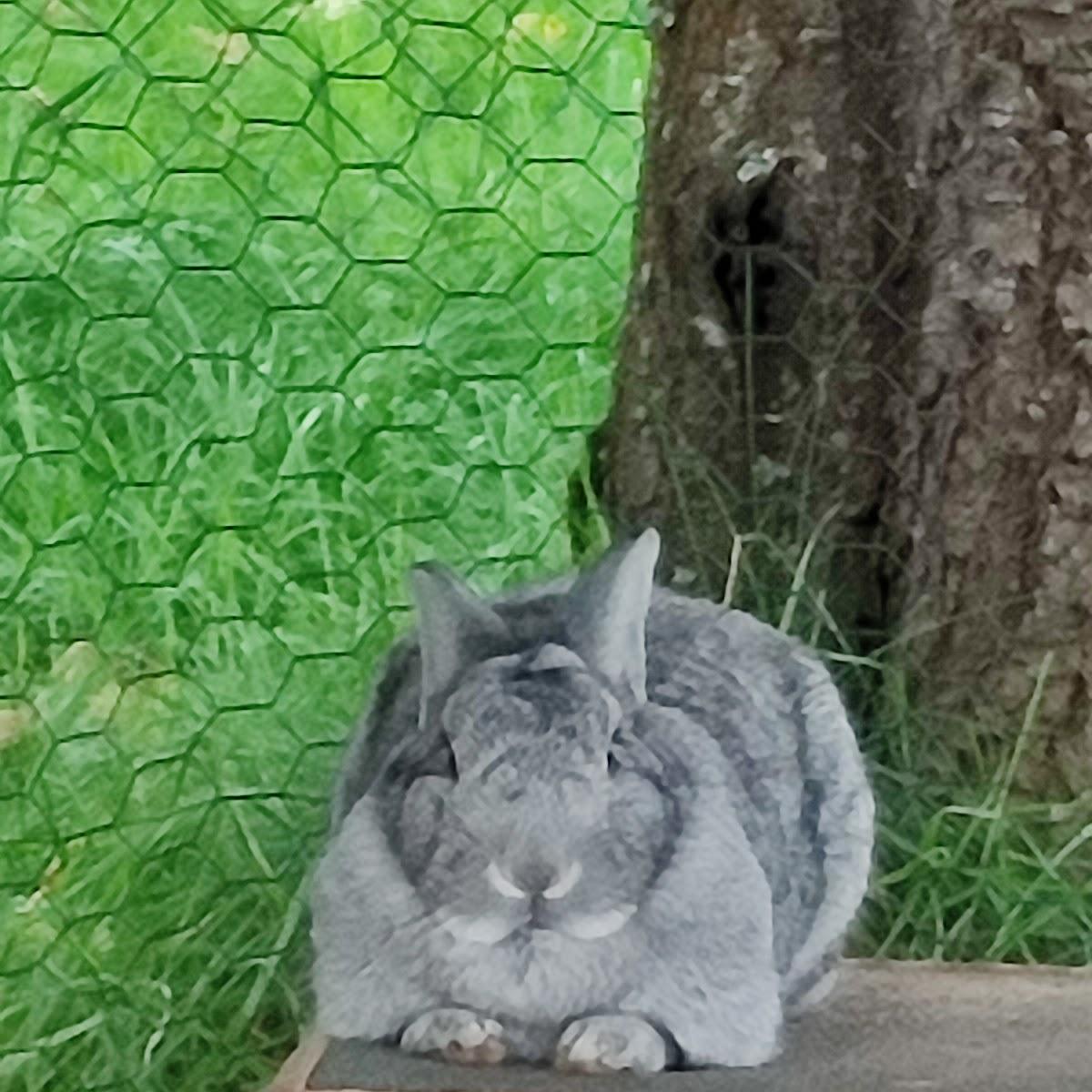 Restaurant "Alliaba" in Ellrich