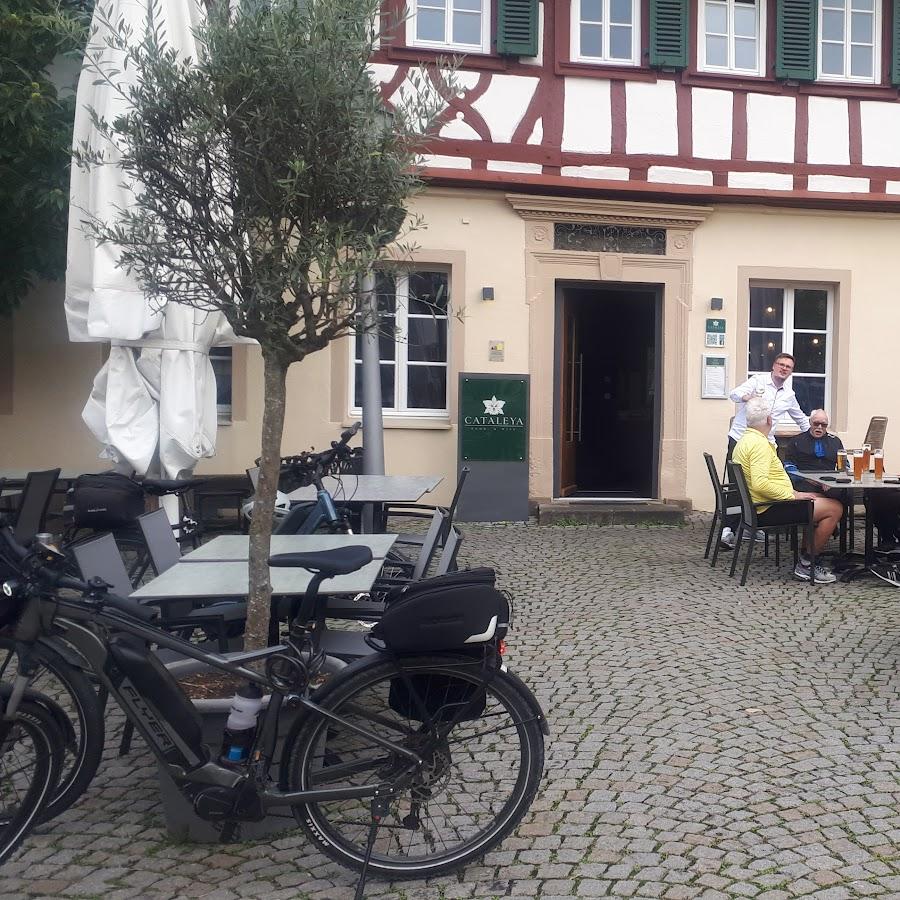 Restaurant "Cataleya Food. & Wine." in Öhringen