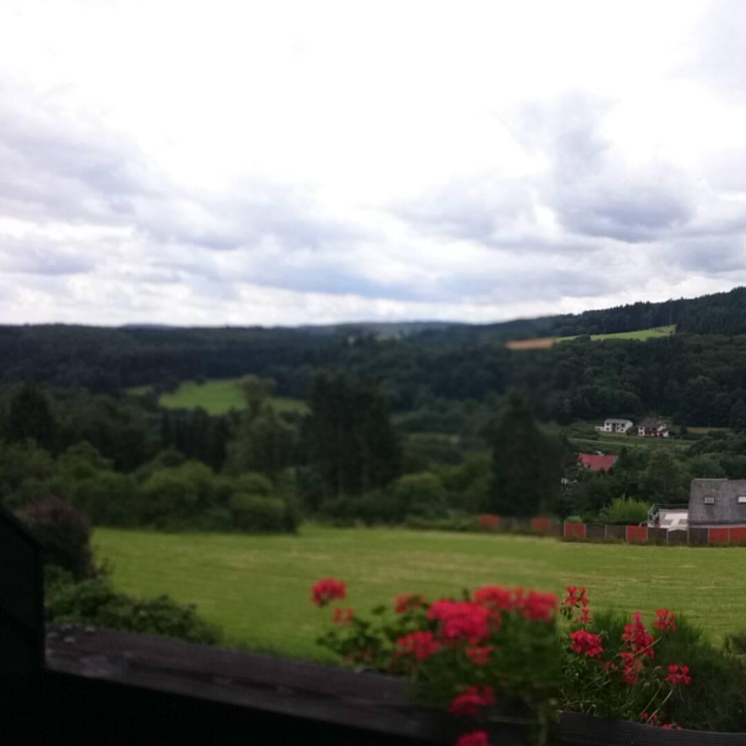 Restaurant "Zwölfender" in  Gerolstein