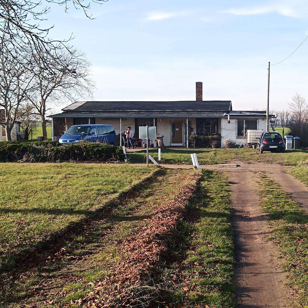 Restaurant "Catering Gaststätte Lebensfreude" in Osternienburger Land