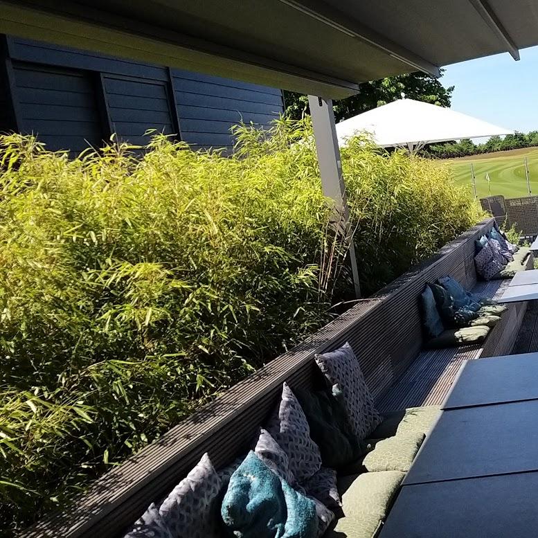 Restaurant "Zur Schmiede Landhotel & Gasthof" in  Göhren-Lebbin