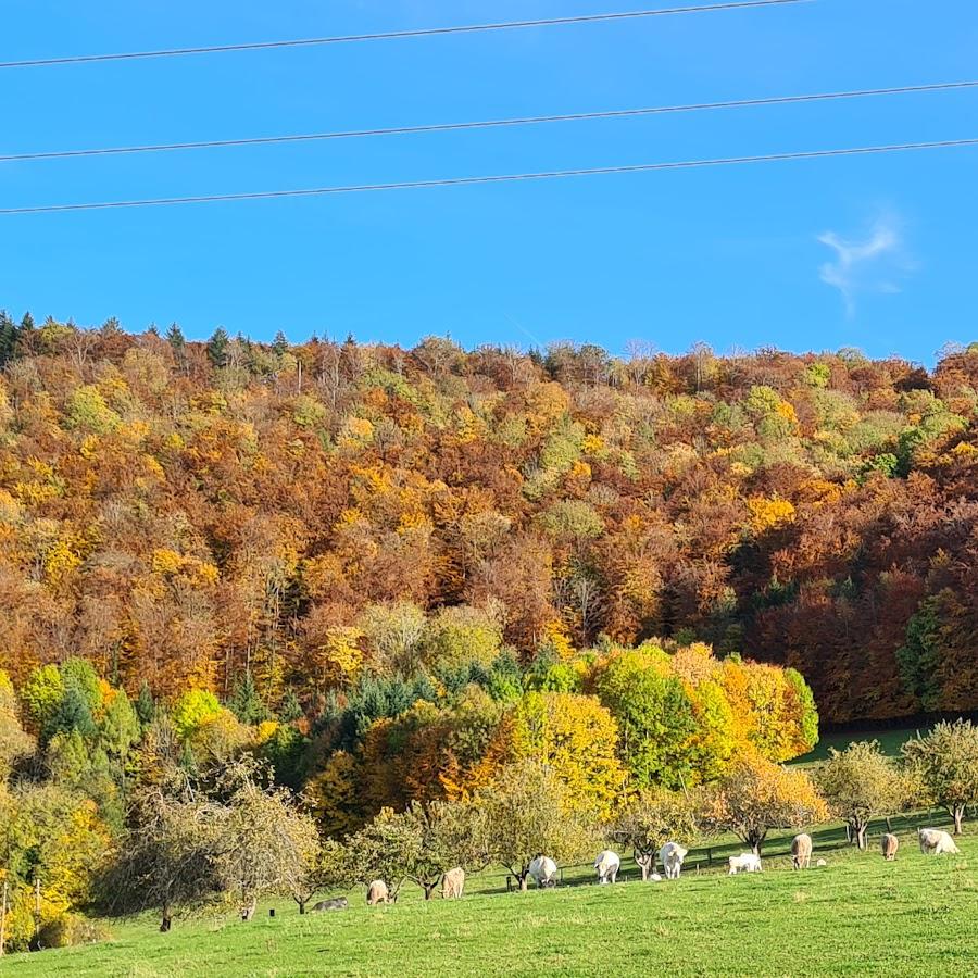 Restaurant "Jakobshütte" in Aalen