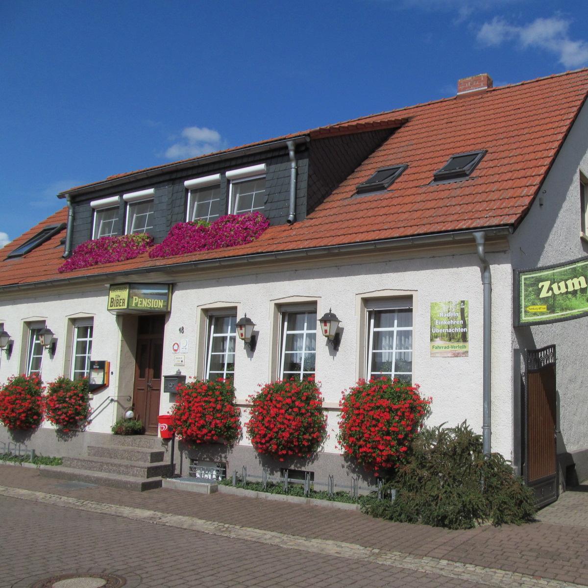 Restaurant "Gasthaus und Pension  Zum Biber " in Steutz