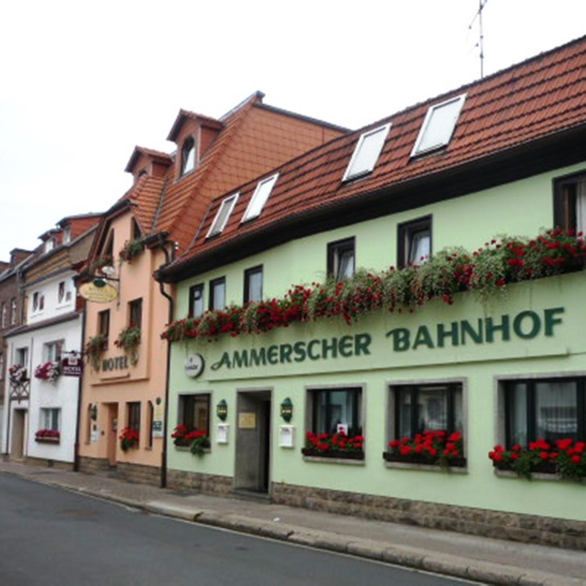 Restaurant "Hotel und Speisegaststätte Ammerscher Bahnhof" in Mühlhausen-Thüringen