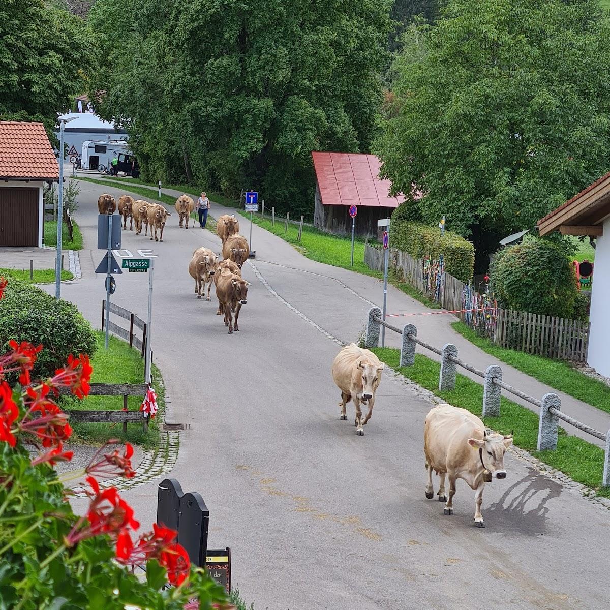 Restaurant "Ostrachtaler Käsestube" in  Hindelang