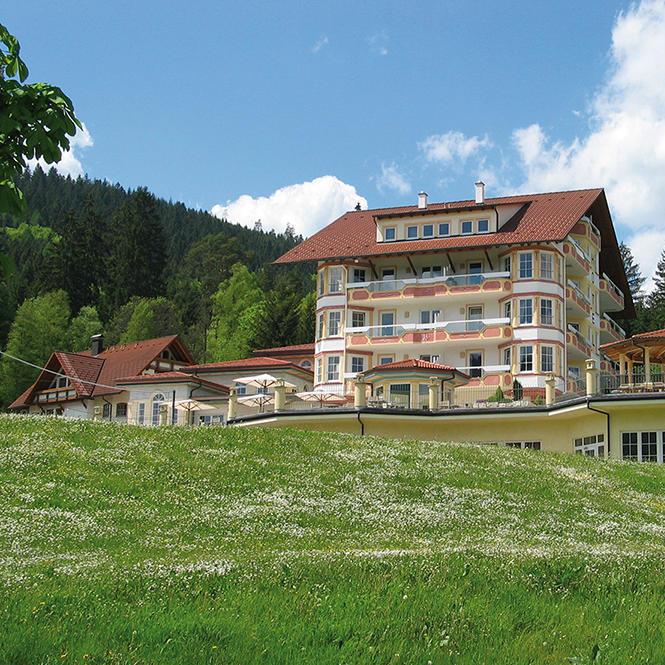 Restaurant "Hotel Ailwaldhof Parkhotel & Spa" in Baiersbronn