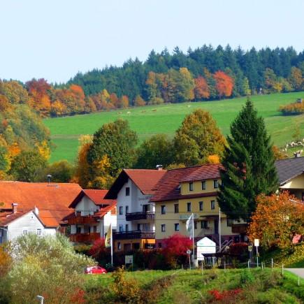 Restaurant "Hotel Gasthof Zur Krone" in Oberzent