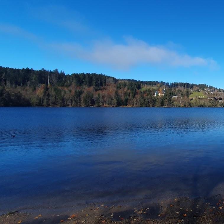 Restaurant "See Restaurant Titisee" in Titisee-Neustadt